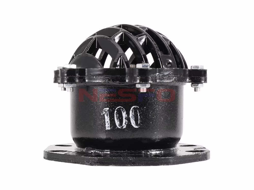 Cast Iron Flanged Foot Valve H42X-6/10