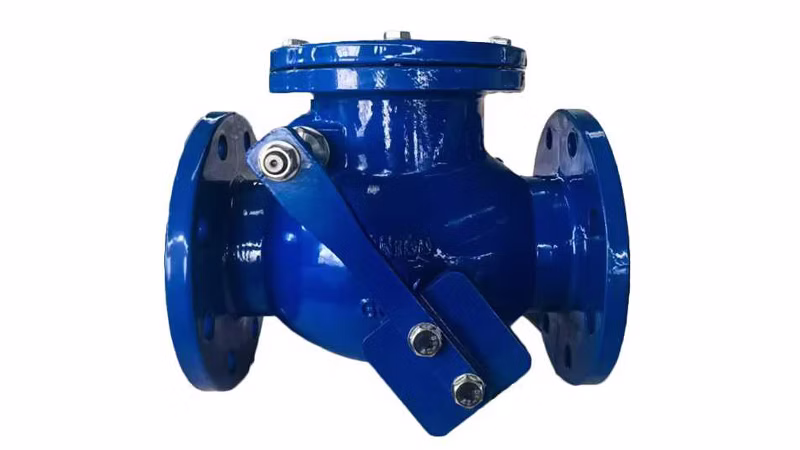 A Detailed Overview of Check Valve Types and Their Applications